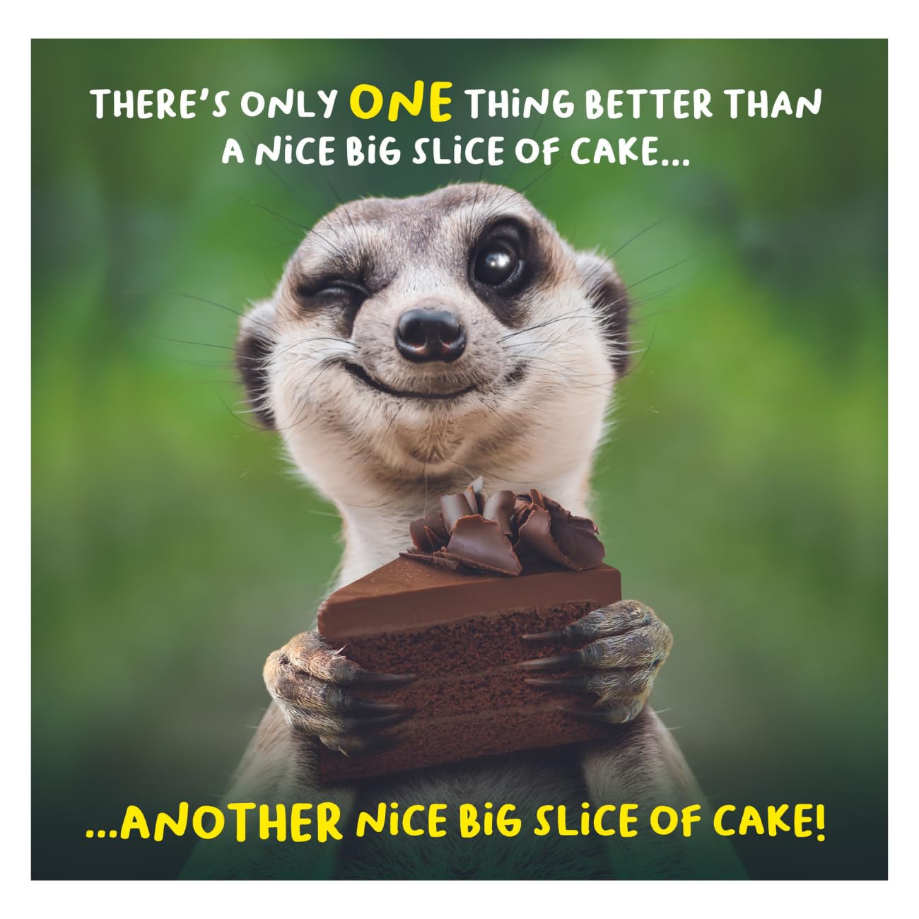 Virtual Safari, Birthday Card for Him, There's Only One Thing Better Than a Nice Big Slice of Cake… Male Birthday Card, Funny Birthday Card for Him