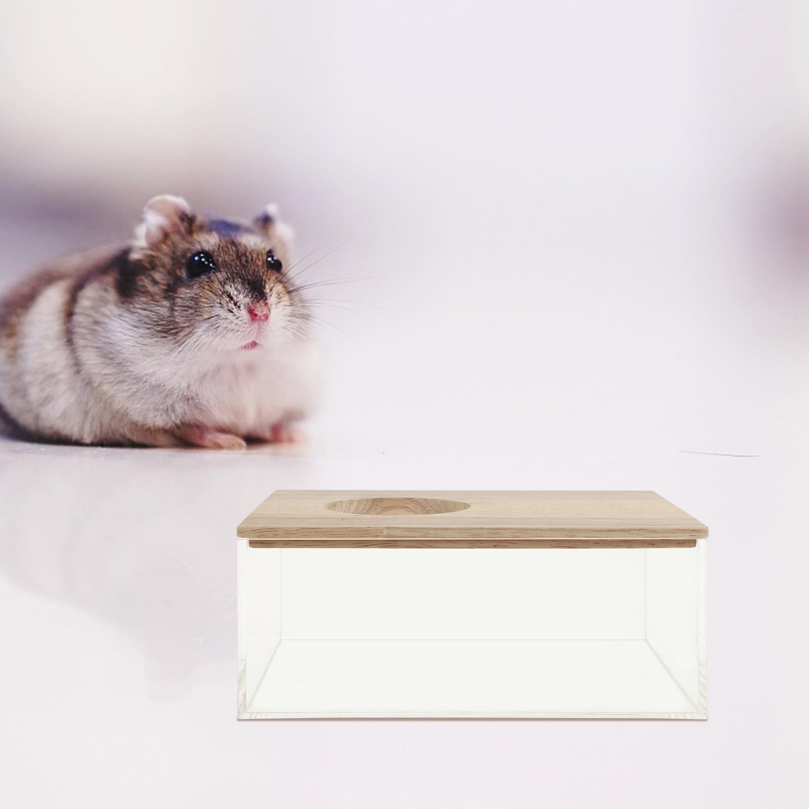 POPETPOP Transparente Hamsterbadewanne aus Acryl Multifunktions Sandbad und Toilette für Kleintiere Praktische Sandbadewanne für Chinchillas und Rennmäuse