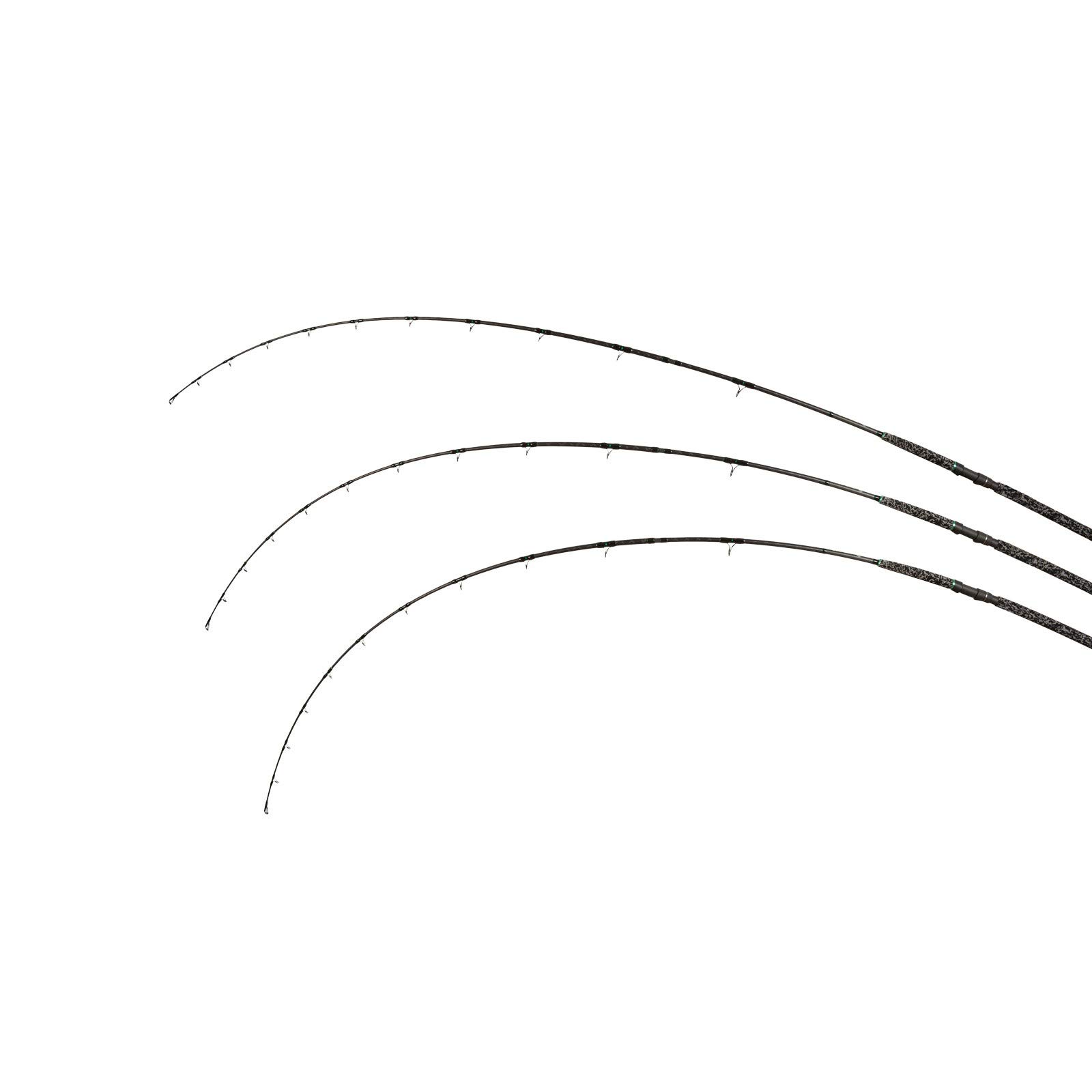 Zeck Pro-Cat Ruten Wallerruten 3,00m 400g