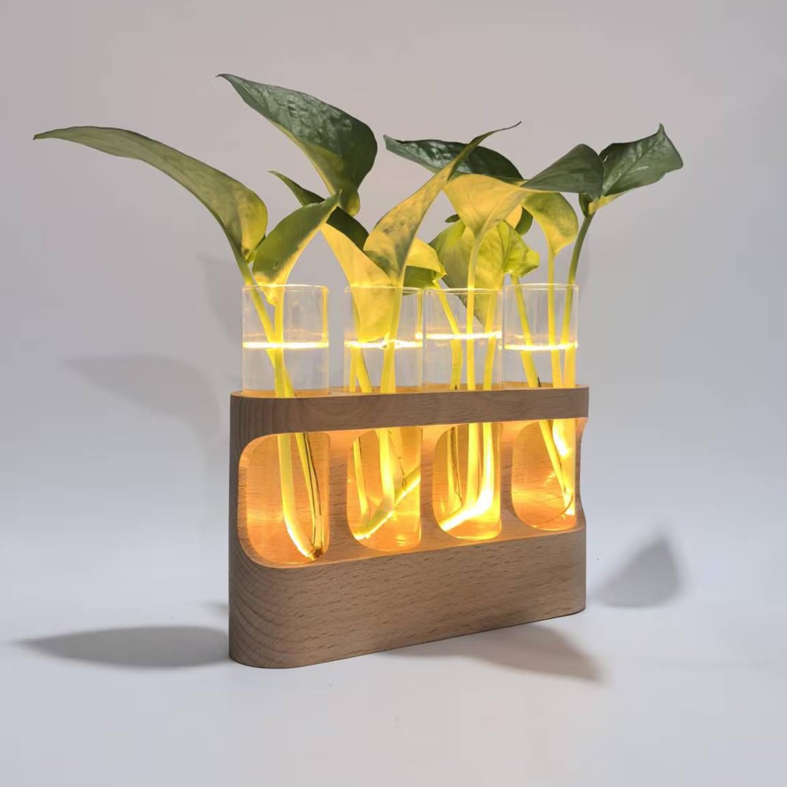 Vase De Propagation Terrarium avec Éclairage LED Réglable