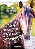  Mein unverhoffter Pferdesommer