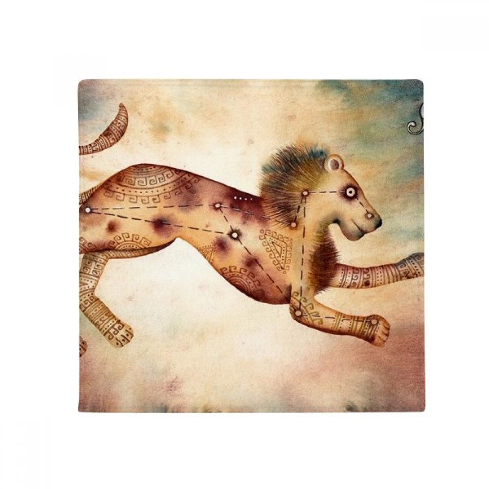 Tapis Sol Chien Chat Constellation Lion : Tapis Antidérapant Cuisine Salon Entrée 50x50