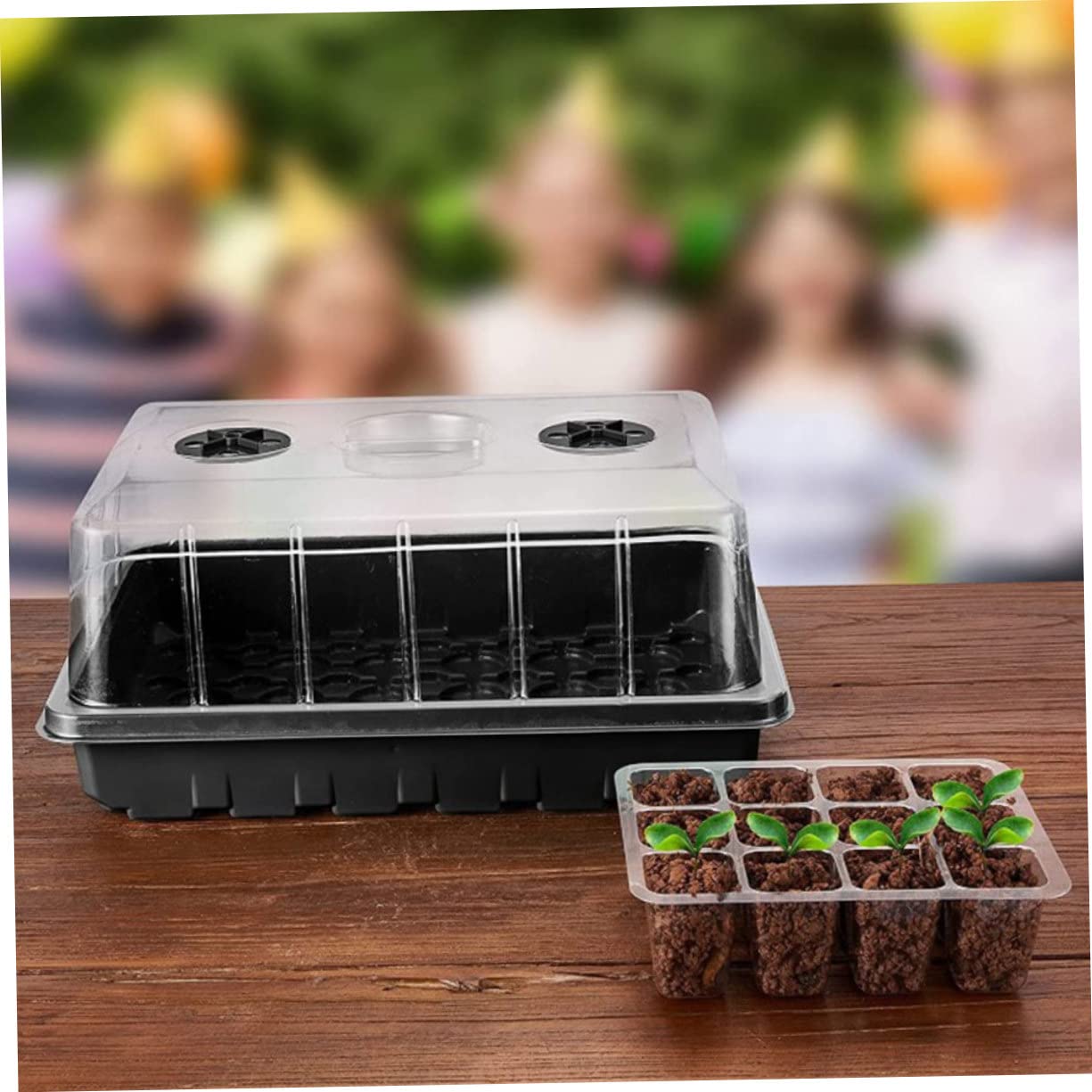 Toddmomy Boîte de Germination Multi-Trous en PP, 1 Set, Semis et Bouturage