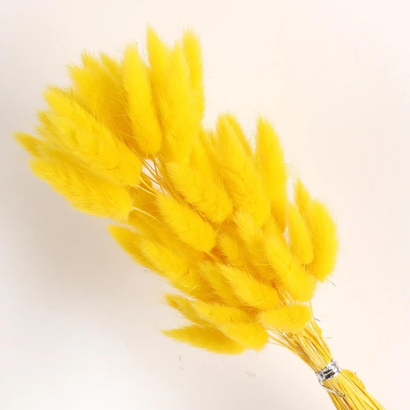 Flores secas de Cola de Conejo,100 Piezas 45cm Hierba de Cola de Conejo Natural Flor Seca Real decoración del hogar Ramo Colorido arreglo Floral de Boda Amarillo
