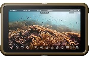 Best Ninja Monitor 4K of 2023: Up To 16x More Detail