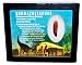 Rebbachisaurus Sauropod Dinosaur Tooth Fossil 1.370 in w/Display Box E555#17957