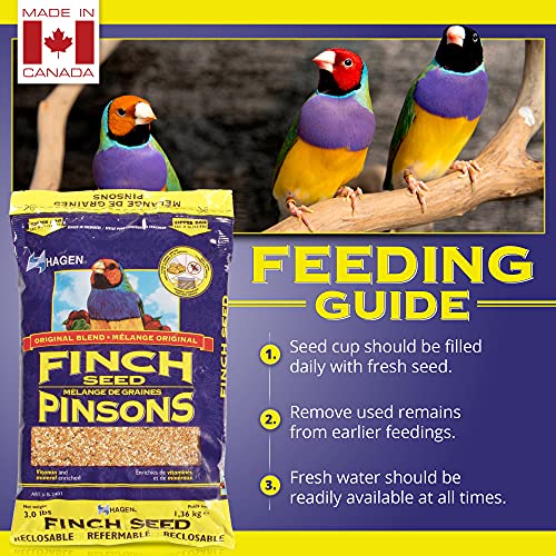 Hagen Finch Staple Vme Seed, 3-Pound #TOP3