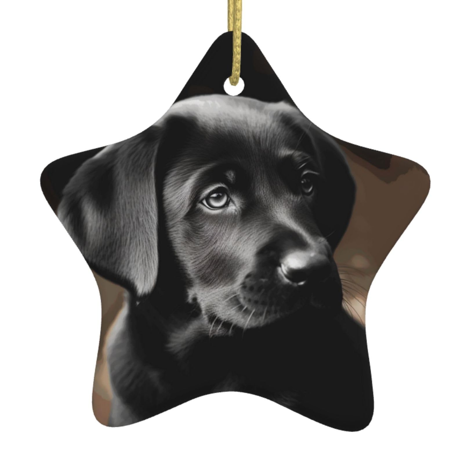 Fodpand Women's White Black Labrador Puppy Christmas Ornaments 2025, Gift Exchange For Men, Collectible Ceramic Ornament Star Hanging Ornaments For Christmas Tree Decoration