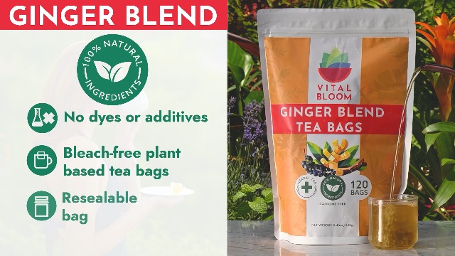 Amazon.com : Vital Bloom 120 ct Ginger Tea Bags, Blend With