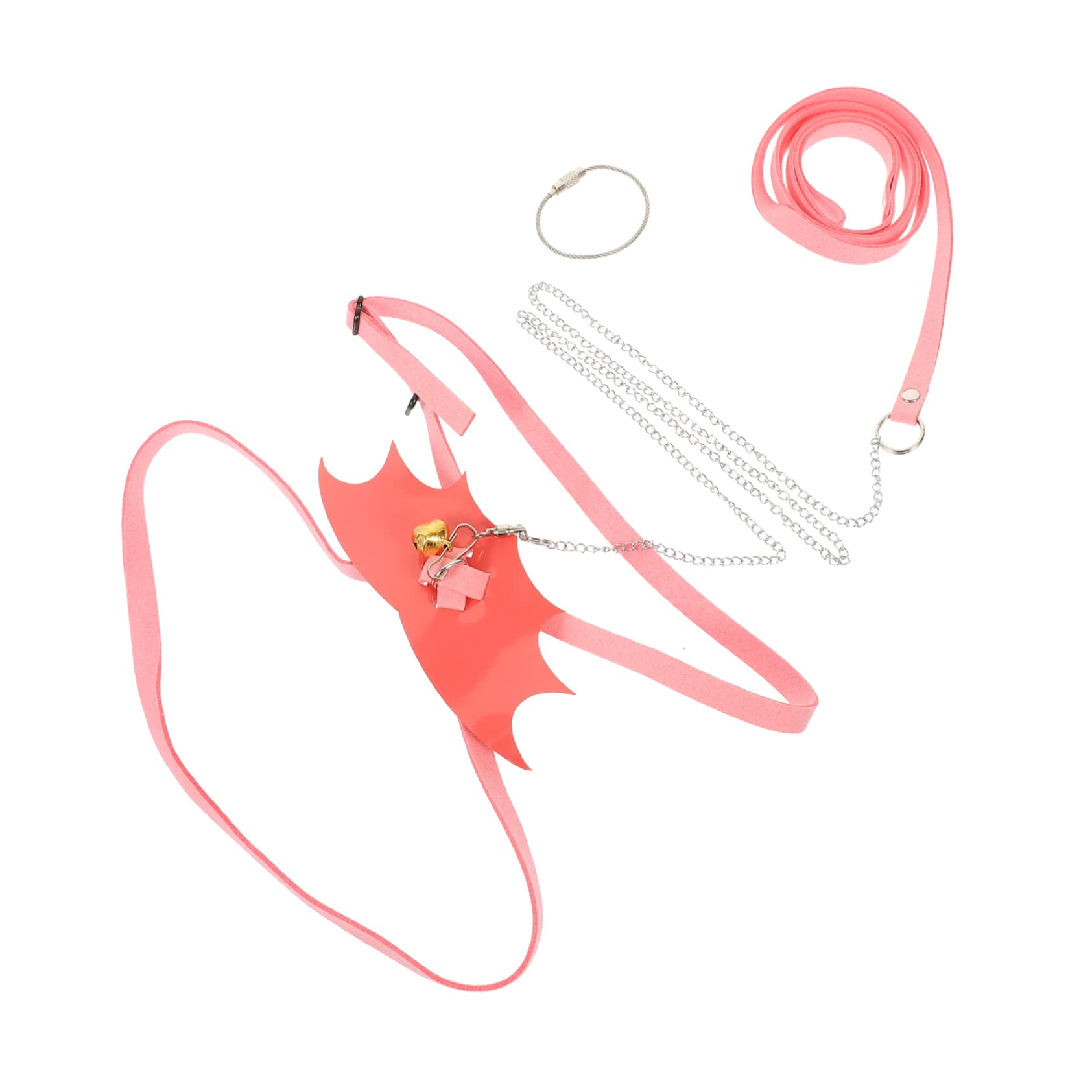 Mikikit Lizard Leash Lightweight Reptile Carrier Harness Traction Rope Pet Supply