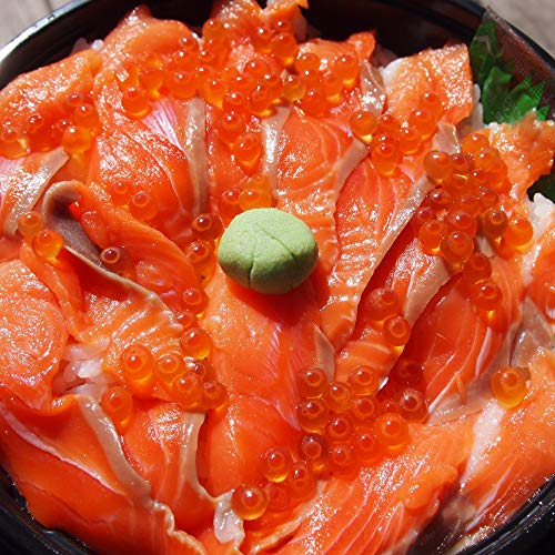 北海道逸品市場 噴火湾産生鮭 冷凍フィレ 刺身ルイベ