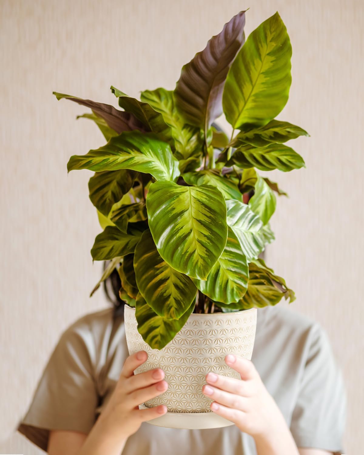 Plant Pots, Flower Pots, Planters for Indoor Plants(6.5+5.5inch), Flower Pots for Indoor Plant with Drainage Hole and Saucer, Ceramic Pots for Plants with Hole Mesh Pad,Reactive Glaze White - Image 6