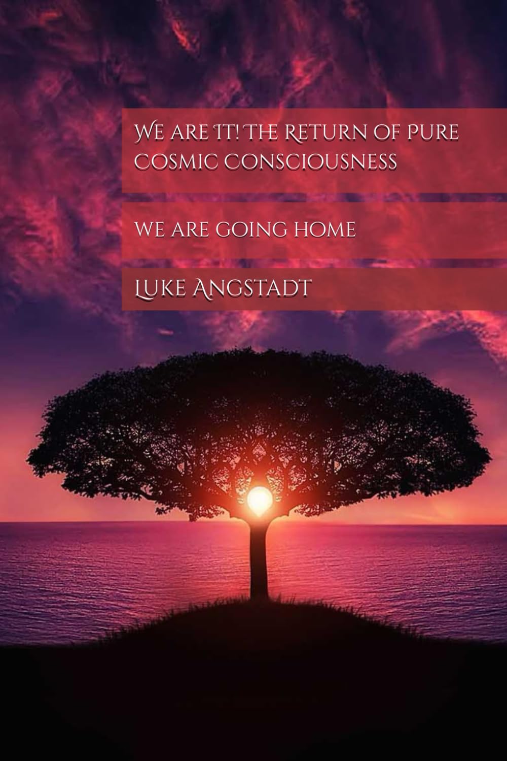 We are It! The Return of Pure Cosmic Consciousness