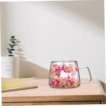 Gcroet 1PC Double Walled Glass Coffee Mug 200ml Dried Flower Insulated Mug with Handle Transparent Heat-Resistant Mugs for Water, Coffee, Milk, Beverage, Style 2