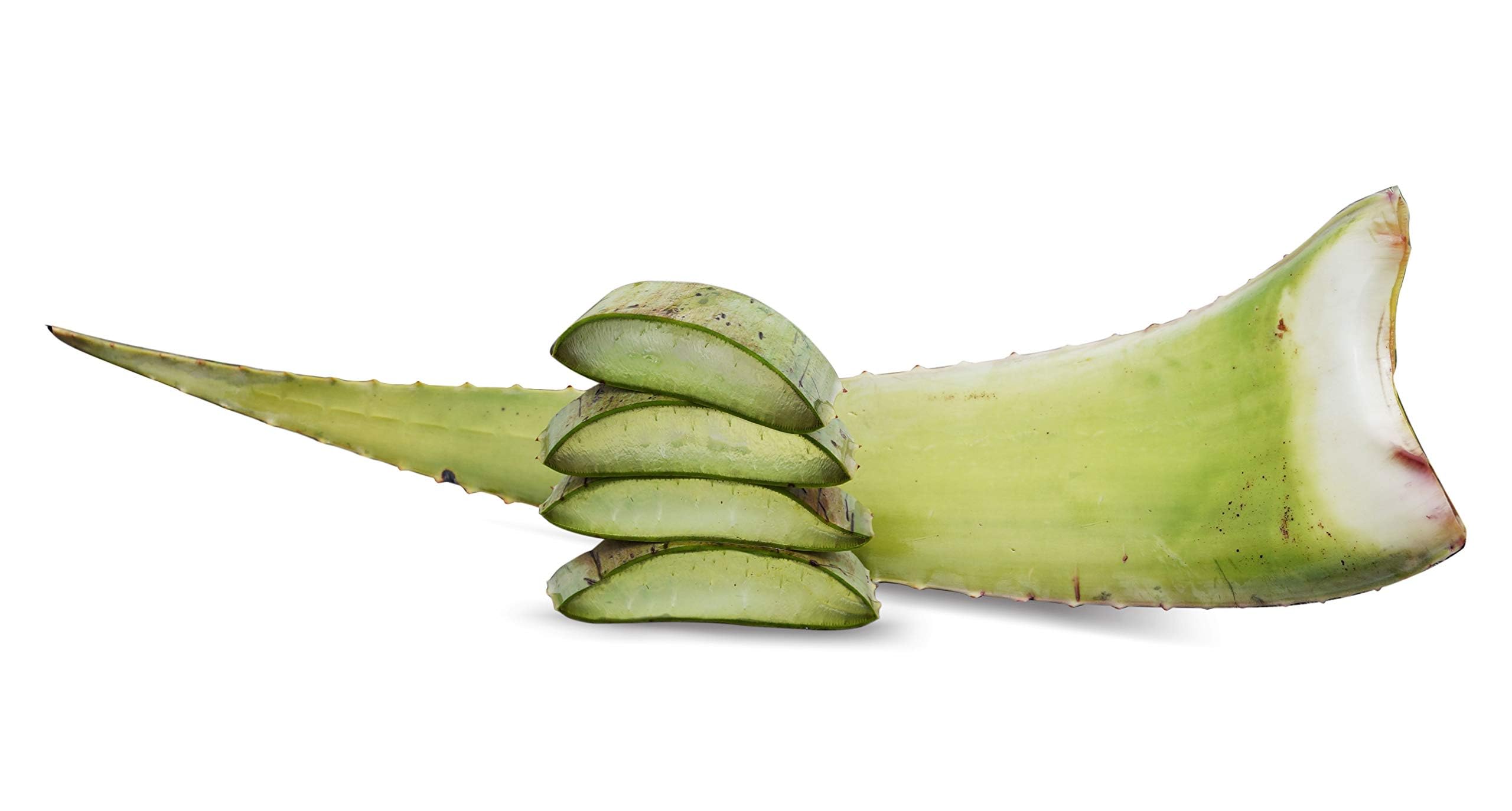 1 x Bestes Bio Aloe Vera Barbadensis Blatt, Health for All : Amazon.de:  Drogerie & Krperpflege