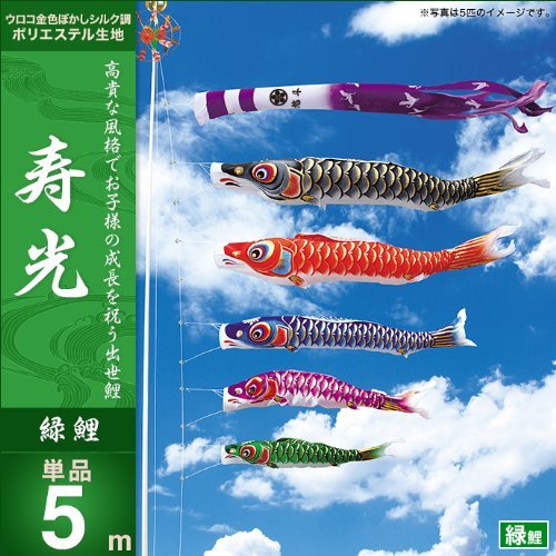 Amazon | キング印鯉のぼり 鯉のぼり 庭用 寿光 緑鯉 単品 緑5m 13k