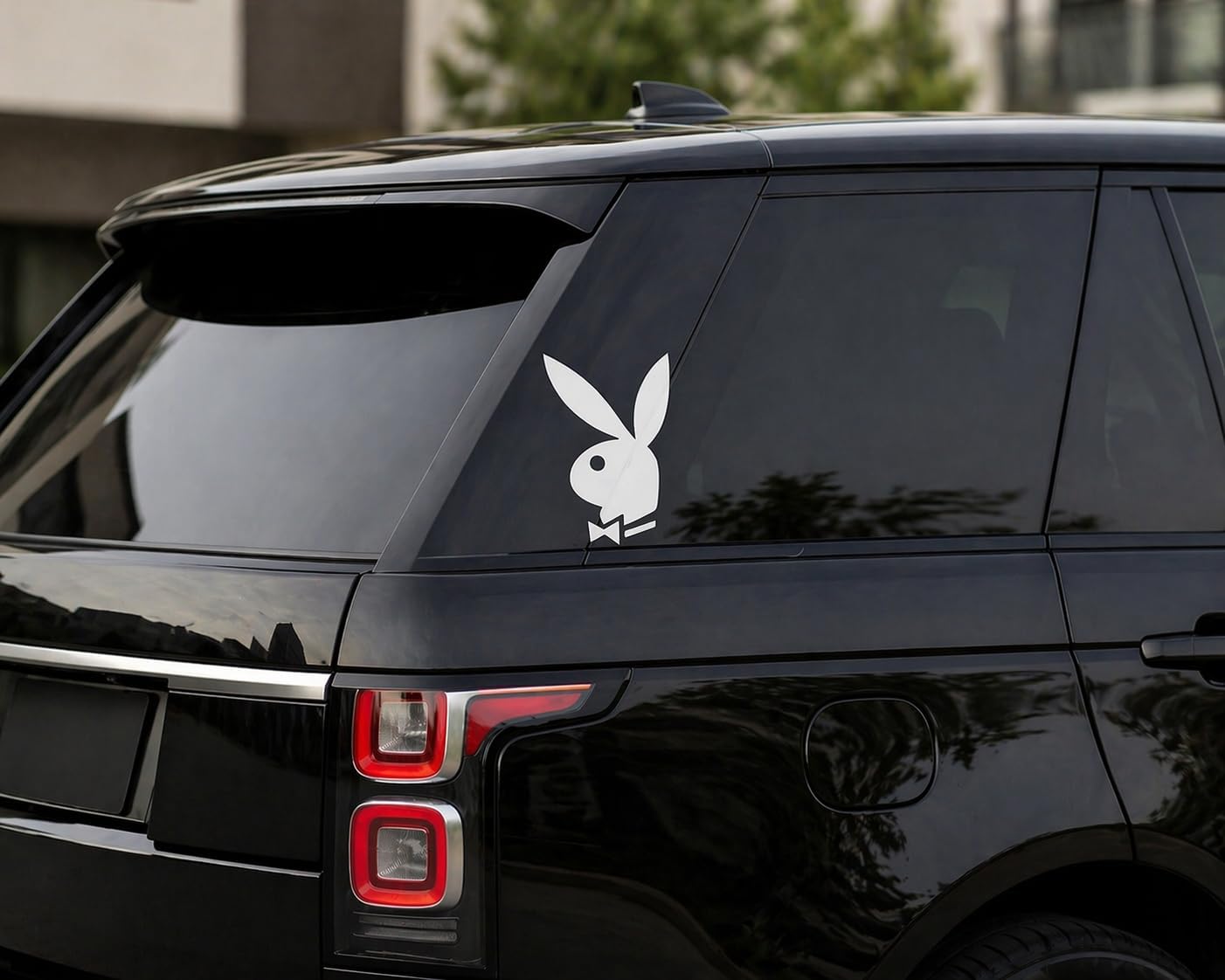 Bunny Vinyl Decal Car Wall Window Sticker Choose Size Color (8, White)