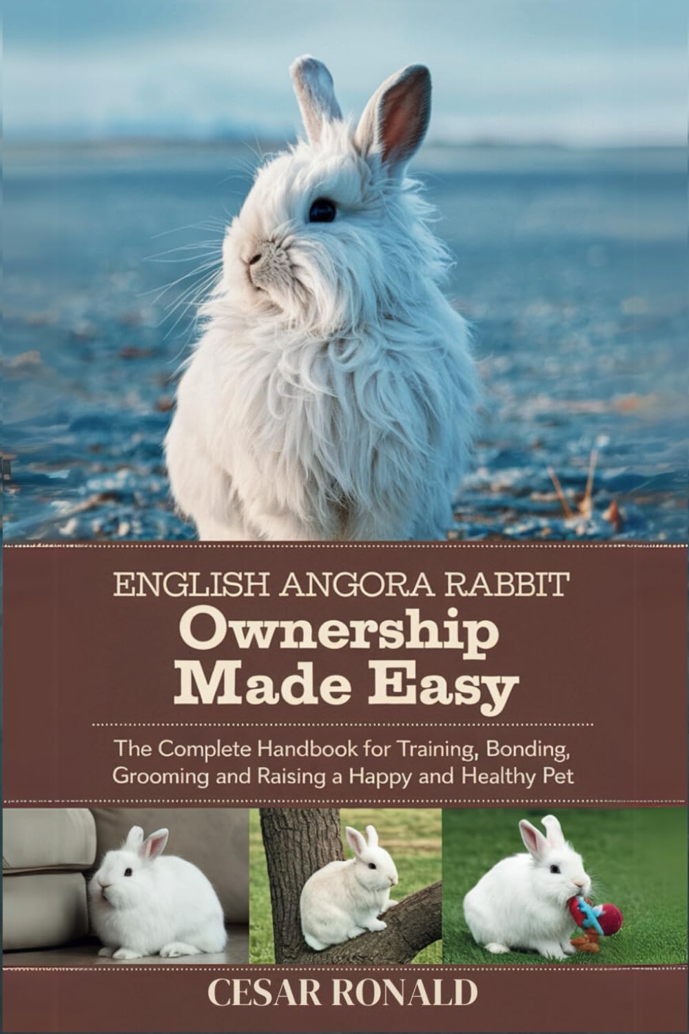 English Angora Rabbit Ownership Made Easy: The Complete Handbook For Training, Bonding, Grooming and Raising a Happy And Healthy Pet (The Rabbit Encyclopedia)