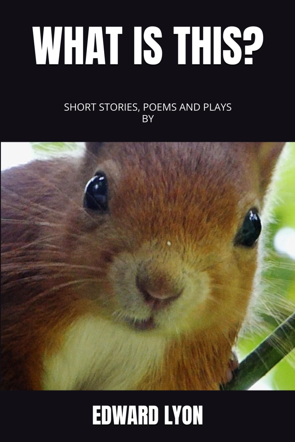 WHAT IS THIS? - Short stories, poems and plays
