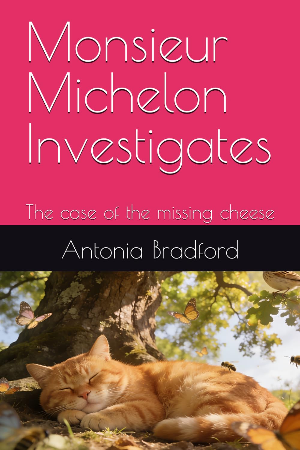 Monsieur Michelon Investigates: The case of the missing cheese