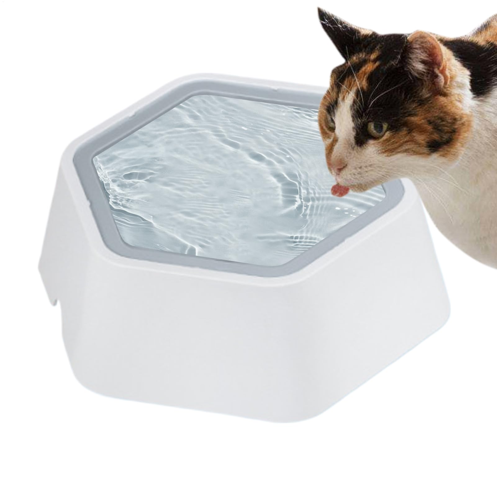 Gamelle pour chat anti-fuite avec disque flottant anti-éclaboussures et base stable