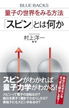 量子の世界をみる方法 「スピン」とは何か (ブルーバックス)