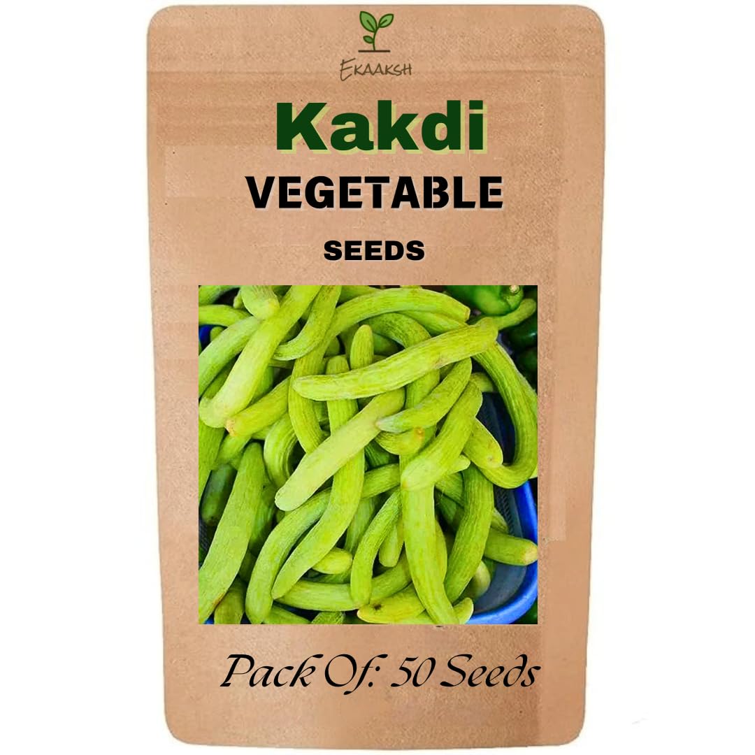 Ekaaksh - Kakdi/Snake Cucumber Seeds + Free Seed Germination Paper + Planting Guide - New Seeds with Test Result - Best for Pots, Terrace & Kitchen Gardening-image-24