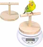 Amazon.co.jp: 【0.1g-5000g】鳥の体重計 小動物体重計 ペット用
