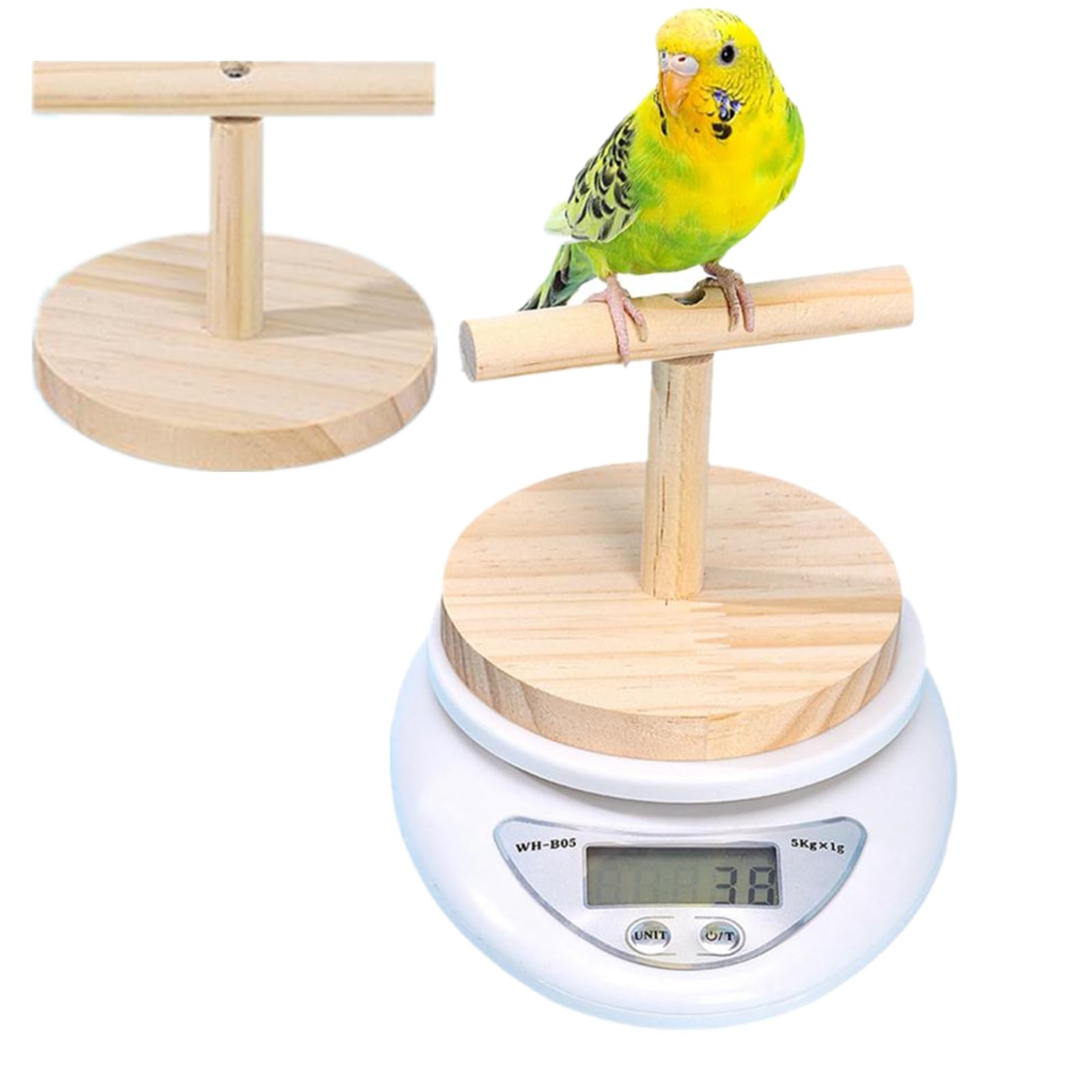 【インコ飼育フルセット】温度管理・体重計付き／初心者OK／すぐ飼育可能 Amazon.co.jp: 【0.1g-5000g】鳥の体重計 小動物体重計 ペット用