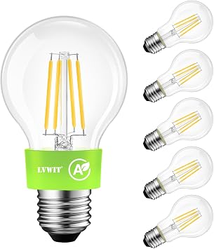 LVWIT E27 LED Bulbs Warm Light 2700K,Vintage Style A60 LED Filament Bulb,5W Equivalent to 75W,1055 LM,Ultra Efficient Class A Filament Bulbs,Energy Saving,Non-Dimmable,6U
