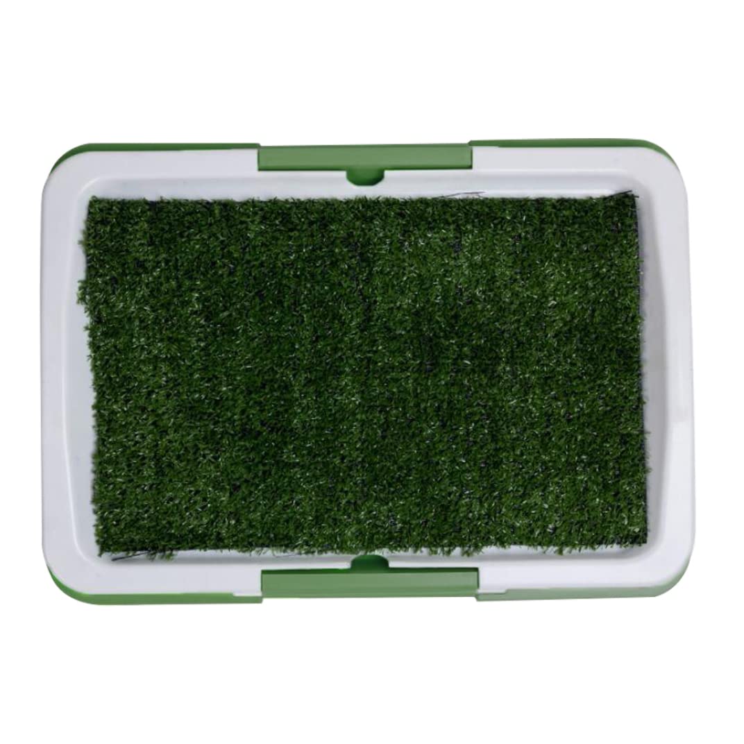Tapis herbe artificielle premium et bac de propreté étanche pour chien