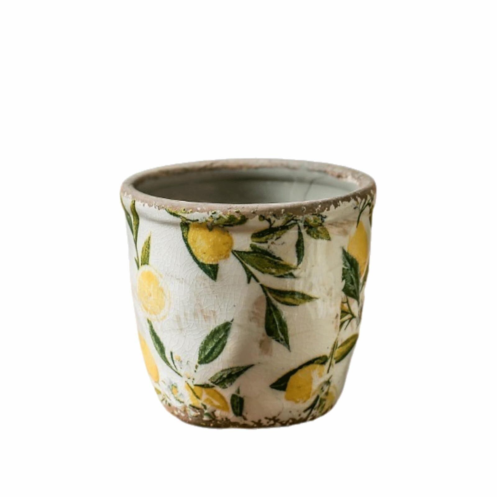 Pot de fleurs à motif citrons printaniers pour plantes succulentes