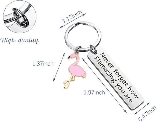 Miniatura 4 de Llavero motivacional con diseño de flamenco con texto en inglés Never Forget How Flamazing You are, regalo de joyería para amantes de los flamencos,