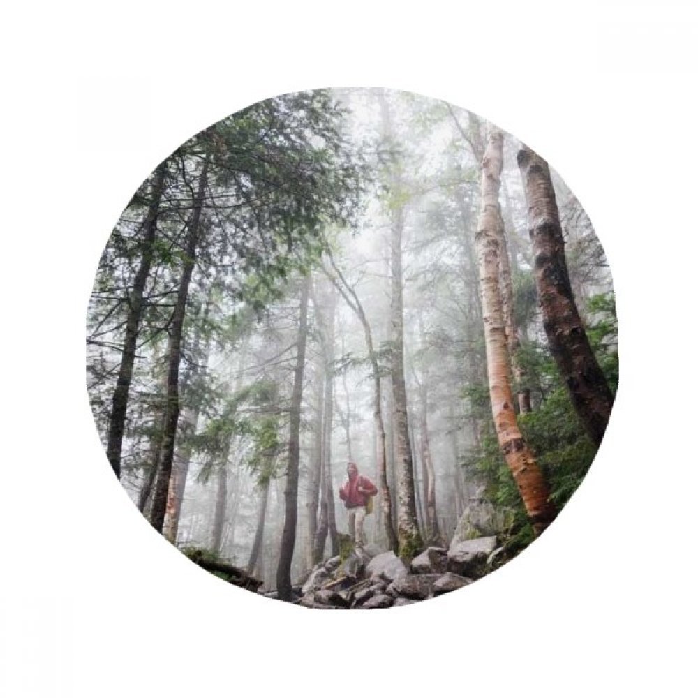 Tapis forestières cadeau idéal pour passionnés de nature et de paysages