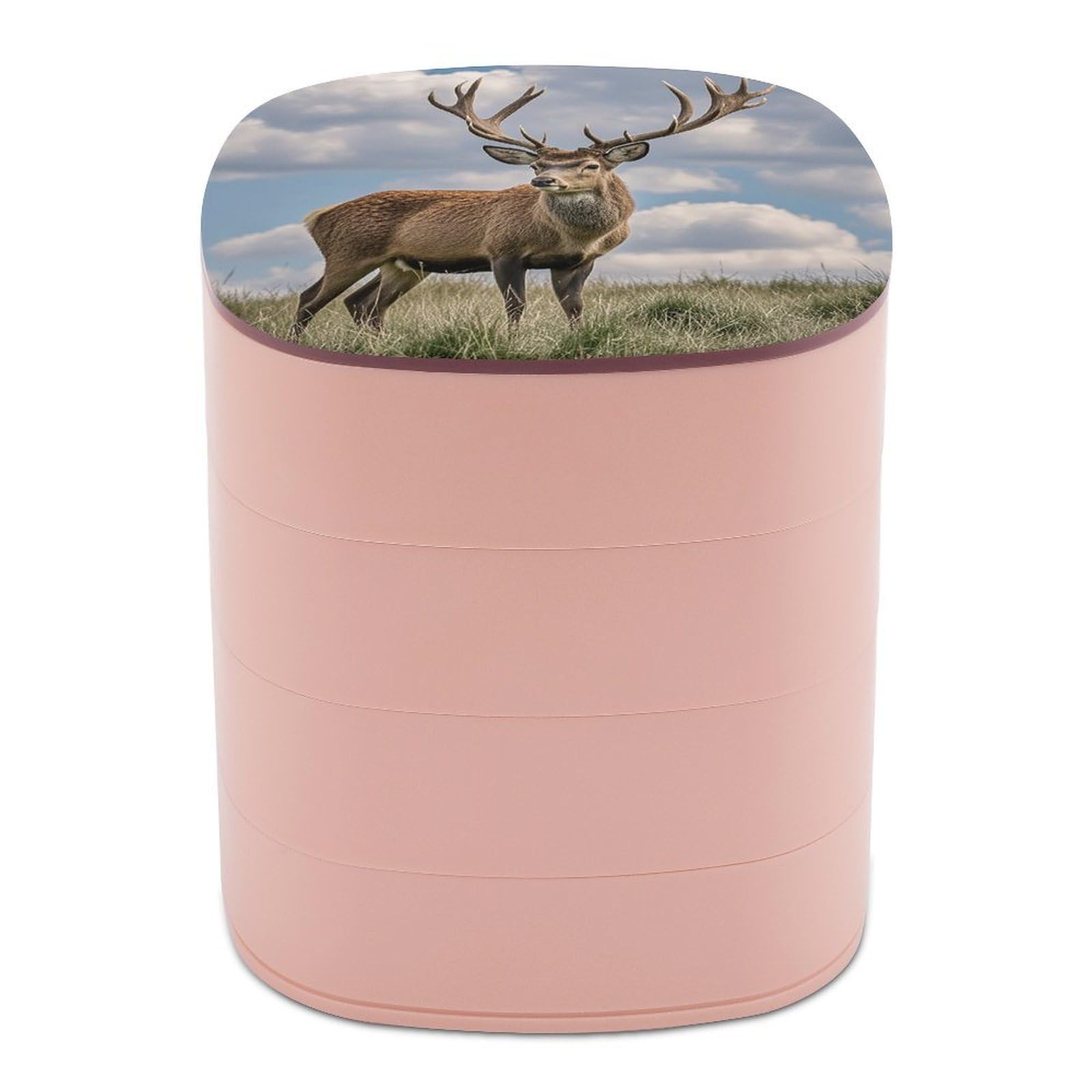 FekiLoot Rotating Elk Jewelry Box Large Capacity Jewelry Organizer with Mirror 4 Tier Hoop Ring And Earring Holder With Lid Small Travel Jewelry Case for Women