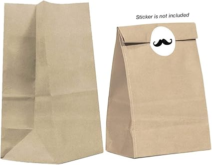 biodegradable paper bolsa