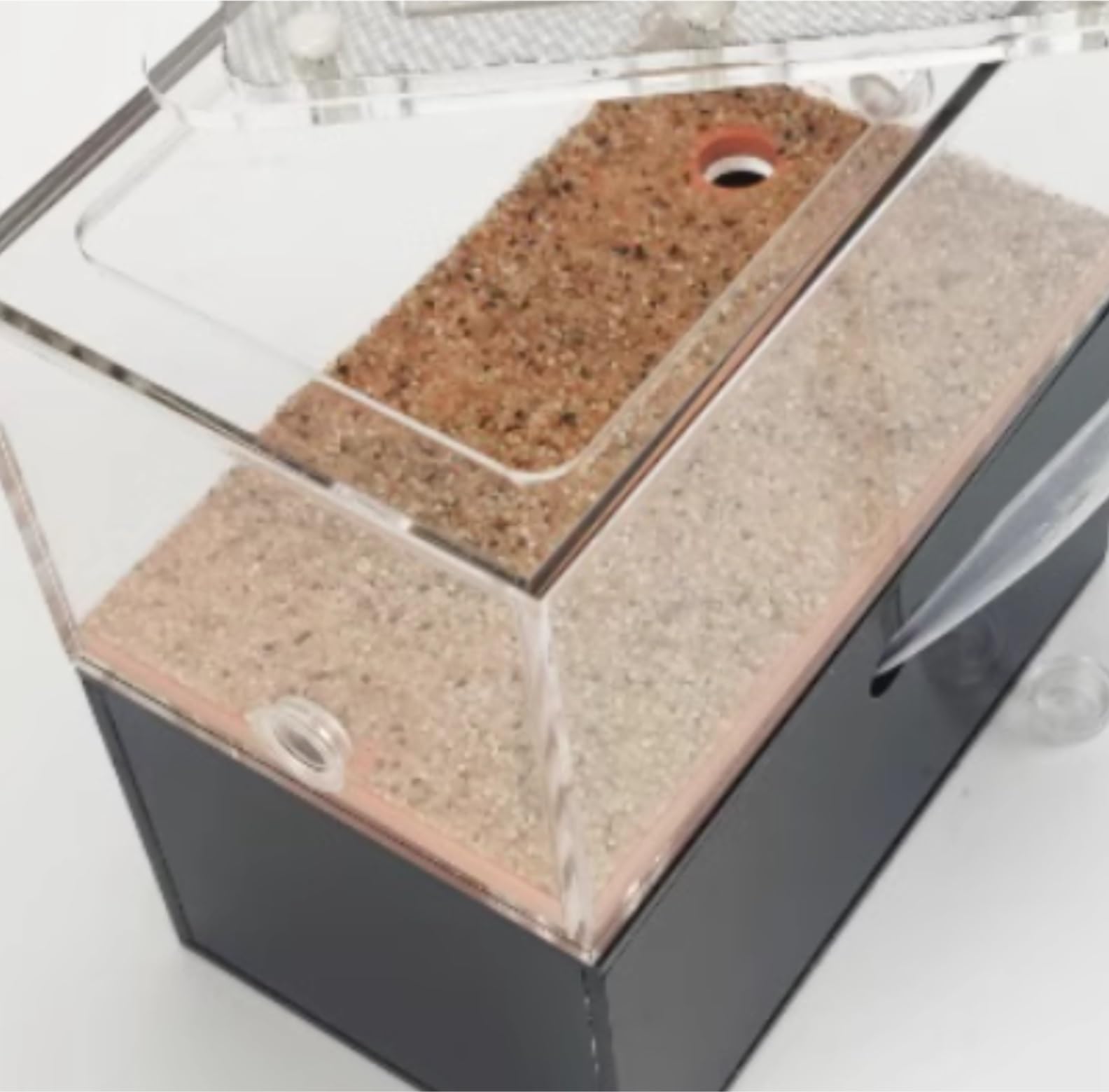 Hormiguero, Terrario de Hormigas con Zona alimentación, acrílico Transparente, 13 cm
