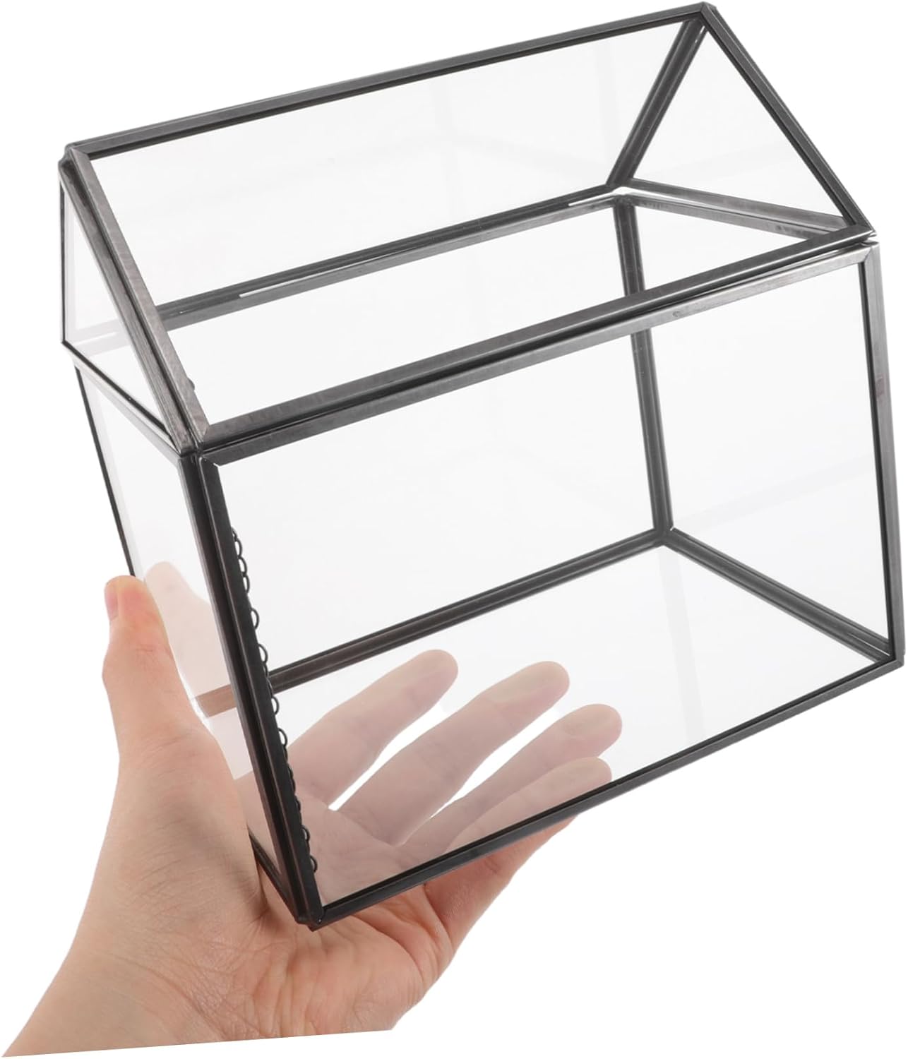 House Shape Geometric Glass Terrarium for Air Plants Indoor Greenhouse Unique Floral Display Sturdy Transparent Planter for Home Office Decor Maintenance