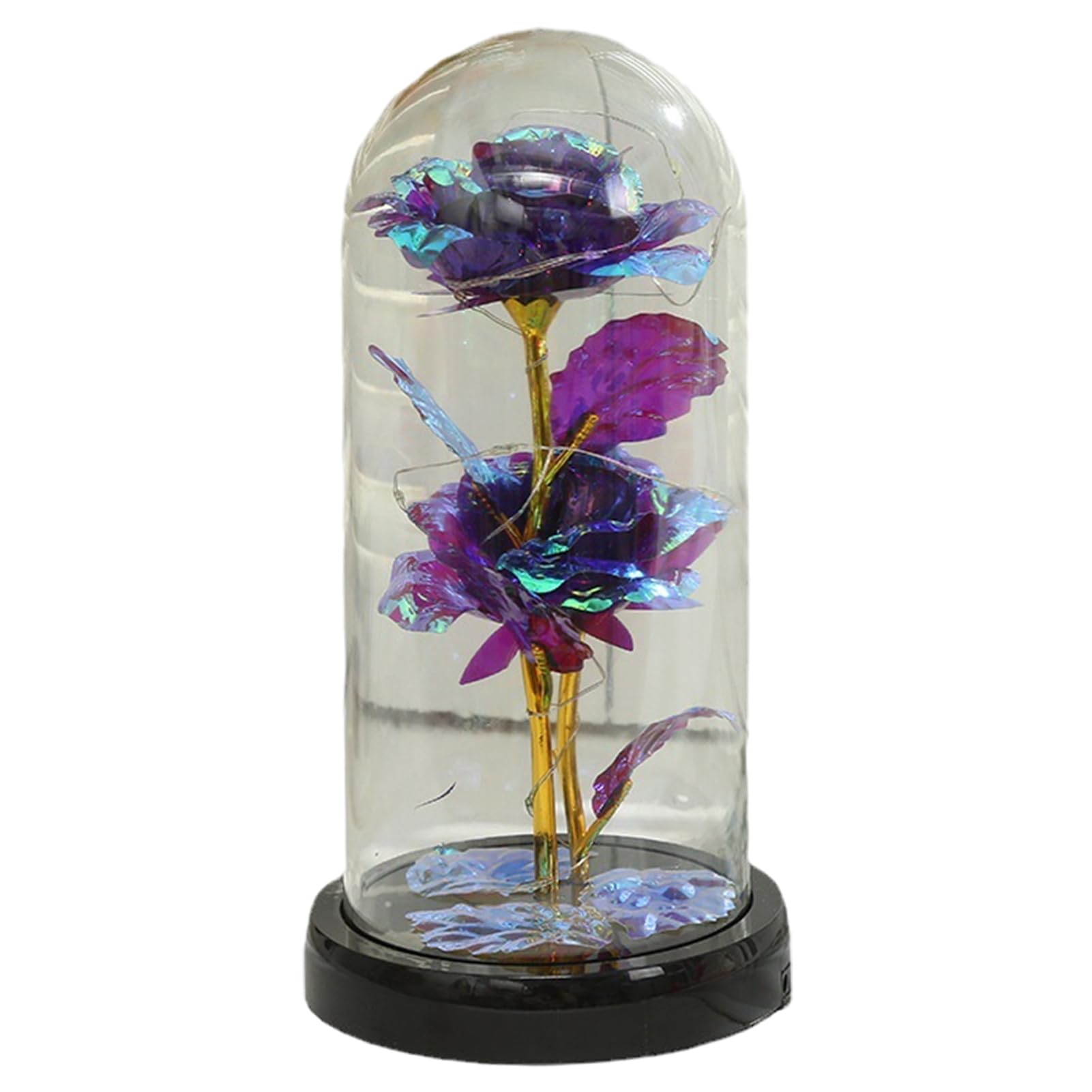 Amazon｜ガラスドームの中でバラをライトアップ,写真ガラスの中の