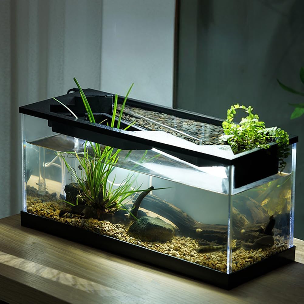 Acquario in Acrilico, Kit Acquario per Piccoli Pesci da Tavolo per Ufficio, Boccia per Pesci per Acquaponica, Boccia Ecologica per Pesci per La Casa, Kit Acquario per Pesci Betta con Filtro
