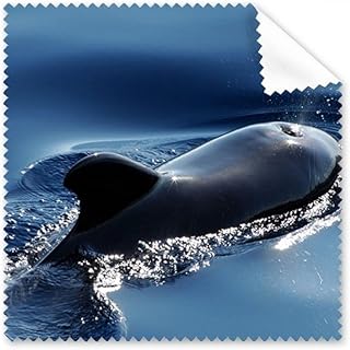 Ocean Water Sea Whale Science Nature Picture Cleaning Cloth Phone Screen Glasses Cleaner 5pcs