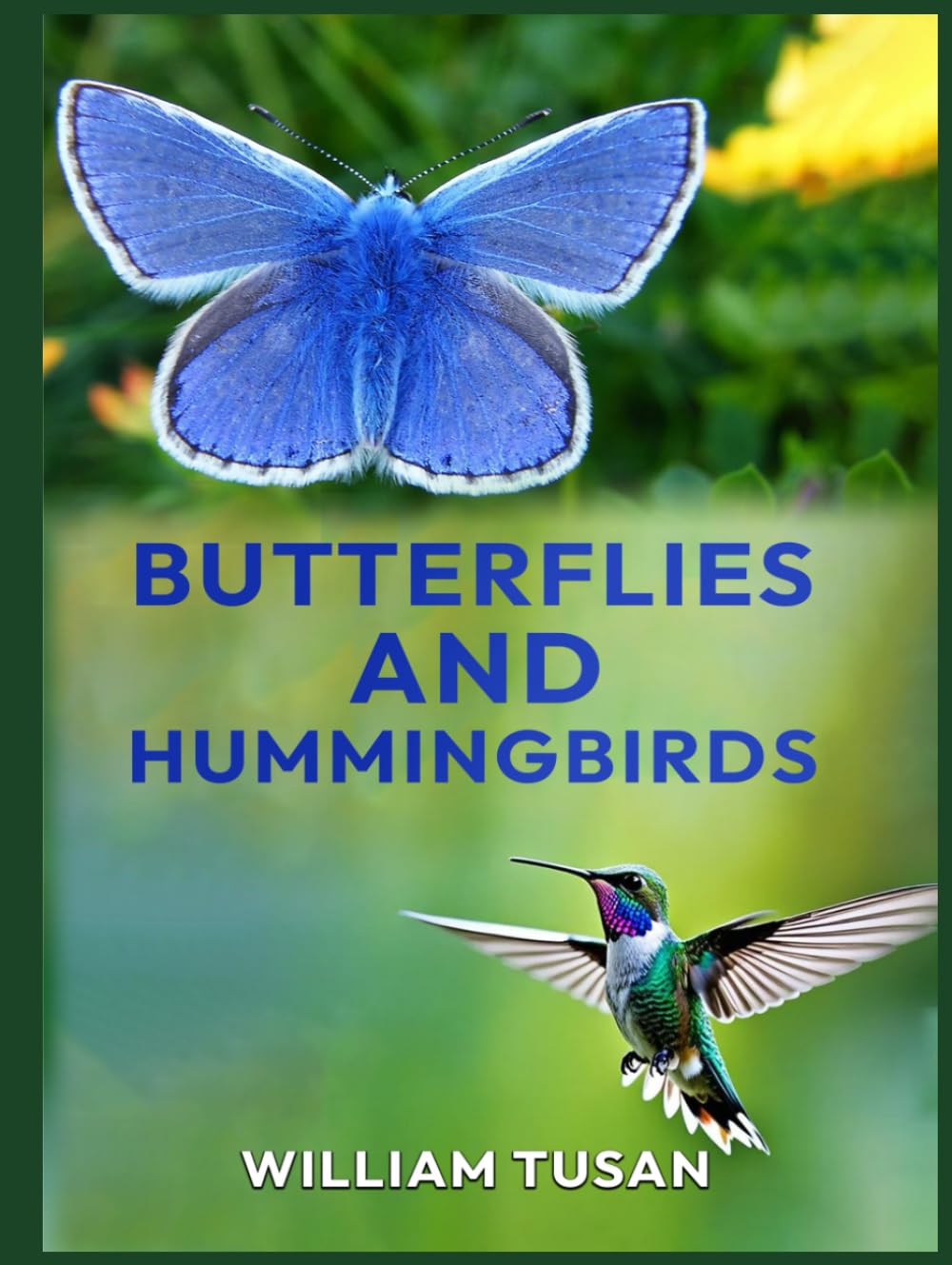 Butterflies and Humming Birds