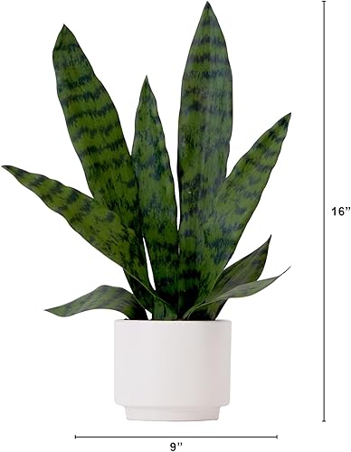 Miniatura 6 de Planta artificial Sansevieria de 15.7in.