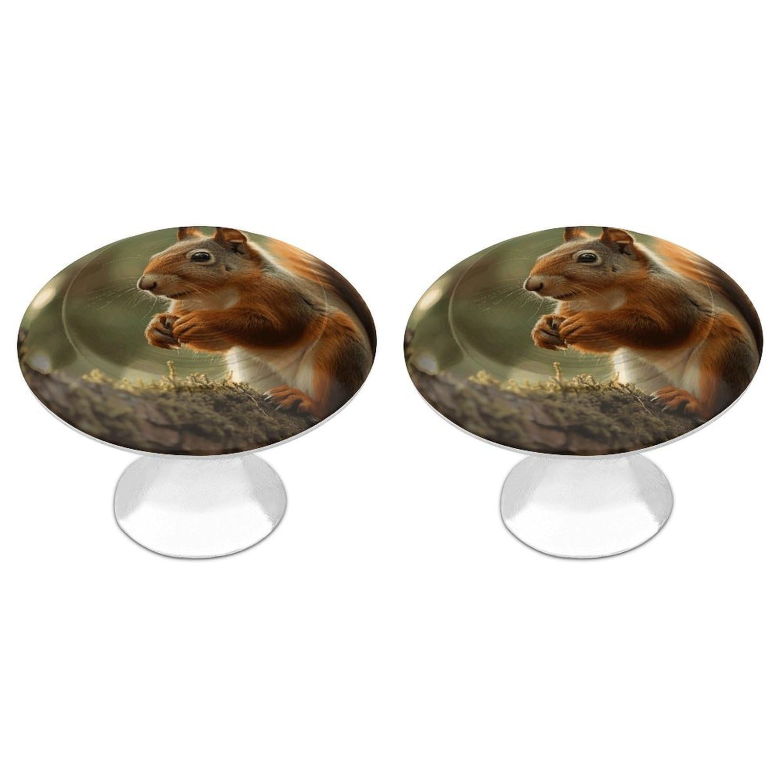 DWVTSLH Wildlife Forest Squirrel Cabinet Handles 2 Pack Stainless Steel Kitchen Drawer Pulls with Installation Screws Round Dresser Drawer Knobs 1.1 Inch Modern Cabinet Hardware Door Handles
