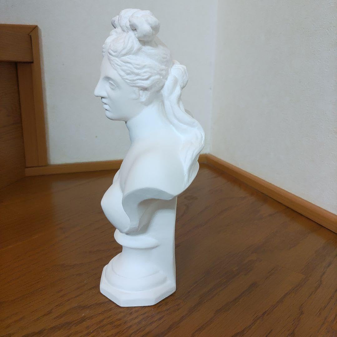 Amazon.co.jp: ホルベイン ミニ石膏像 カップァヴィナス胸像 : ホビー