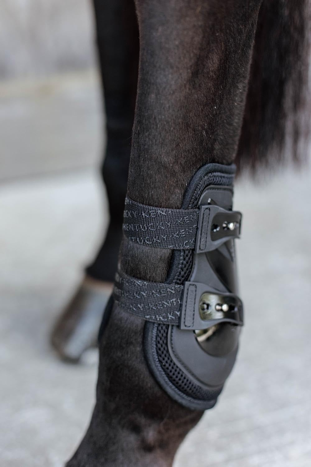 Kentucky Protector de menudillos Air X