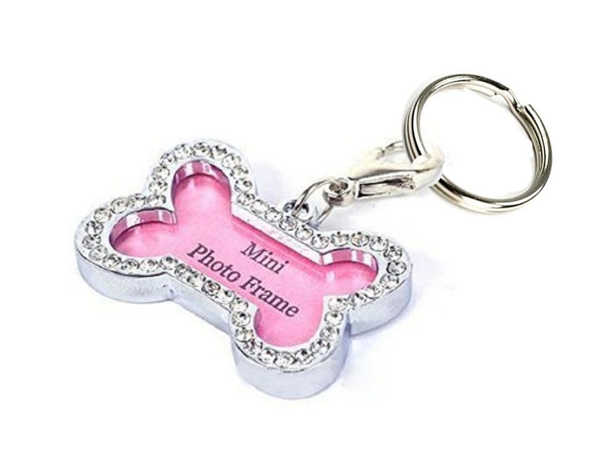 female bettas together