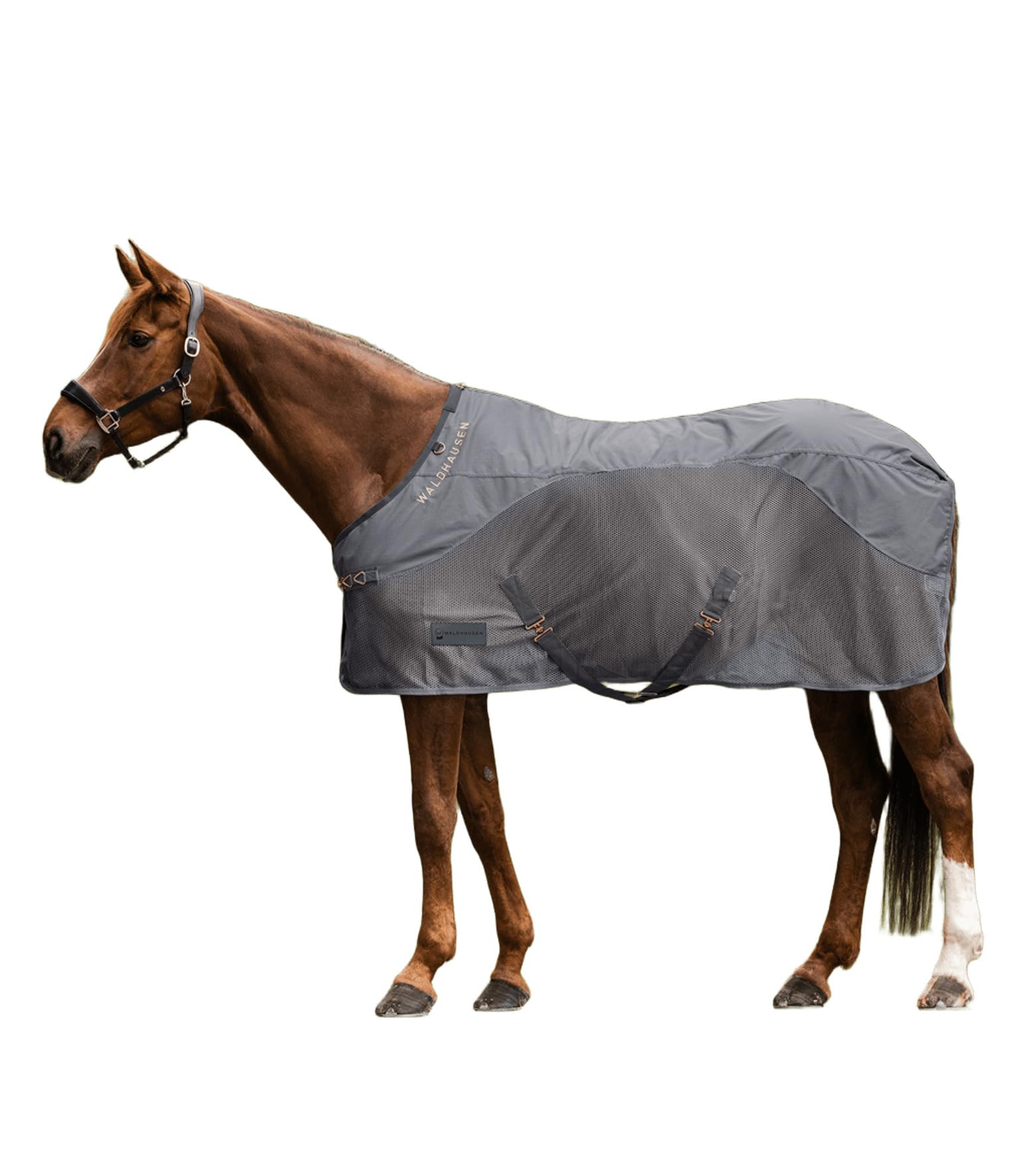 Couverture Anti-Mouches Pour Cheval - Col Amovible - Taille 125 Cm - Gris - Protection Insectes