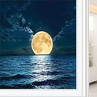 Vista 13 de The Shore - Película de privacidad para ventana de privacidad, agua exótica de playa y palmera por The Shore con imagen de paisaje de cielo claro