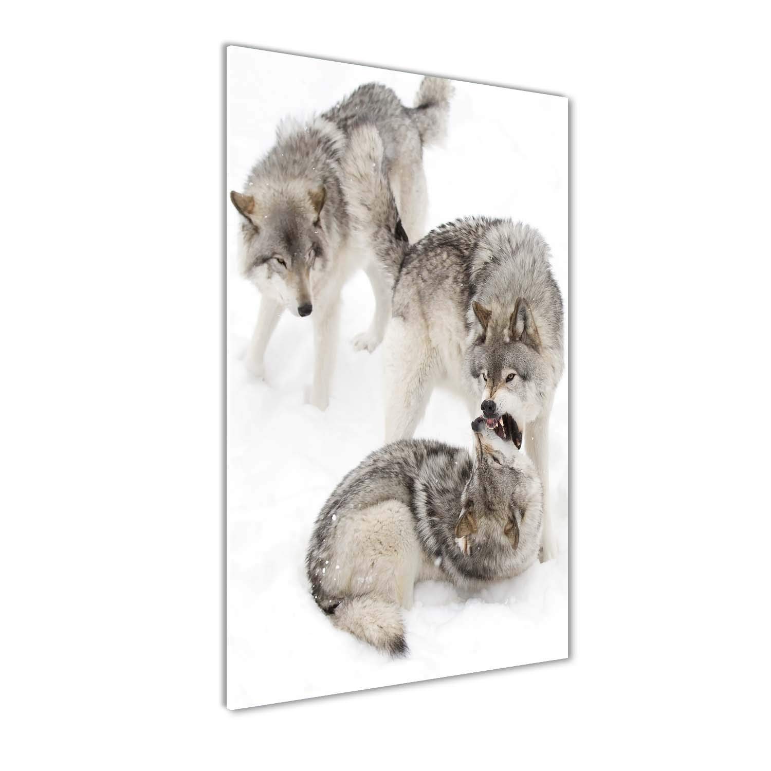 Tableau photo de loups gris en verre 60x120 cm, une oeuvre panoramique aux finitions de luxe